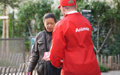 Augmentez vos ventes avec le Street Marketing