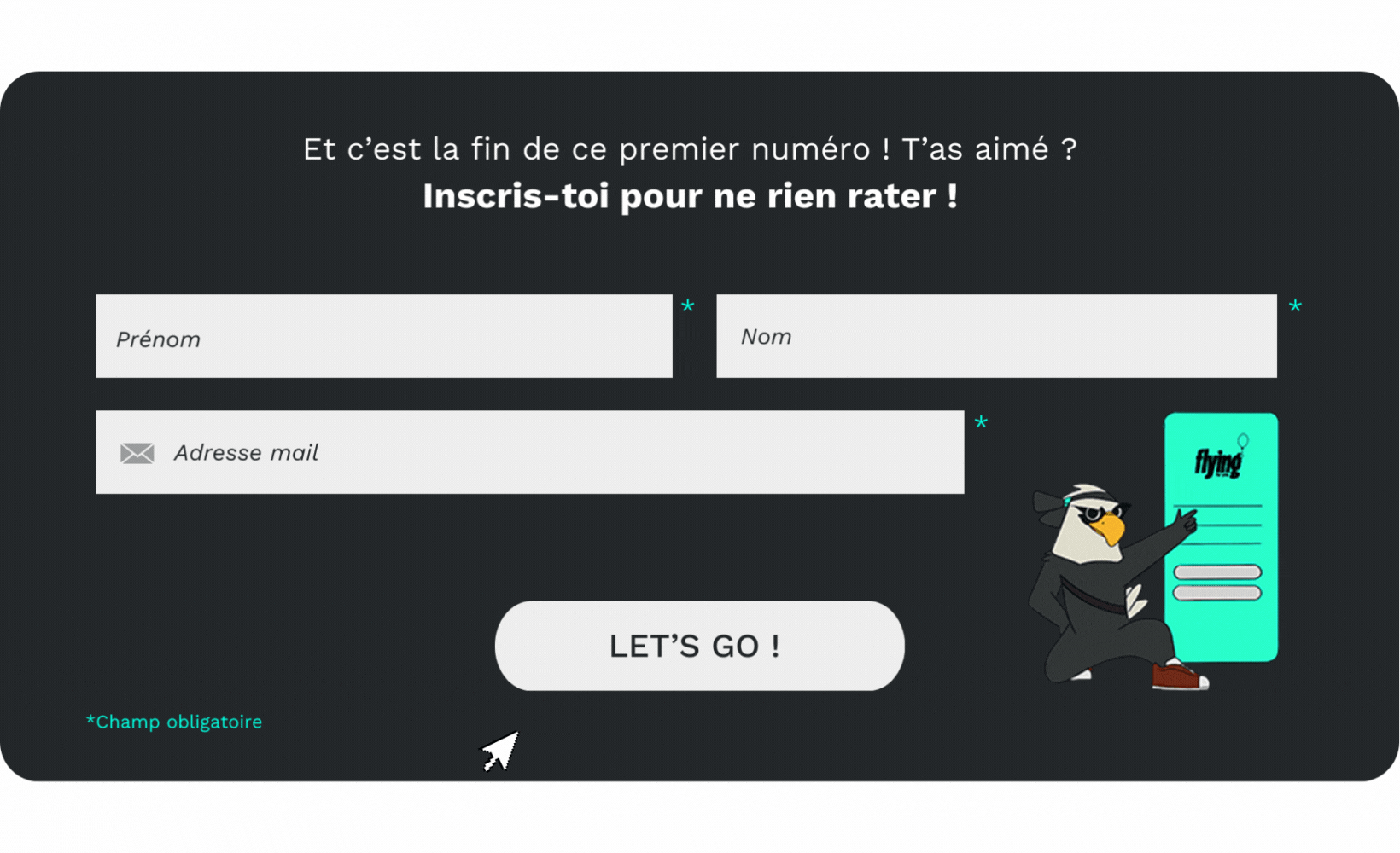 inscription-flying-news-newsletter-flying-for-you