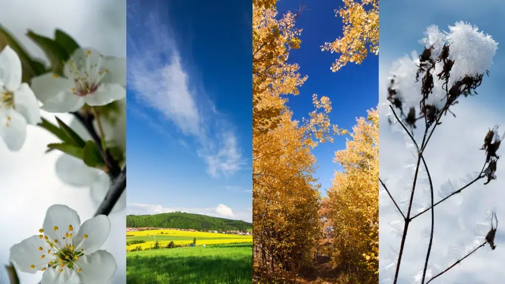 allier-distribution-de-flyers-et-changements-saisonniers