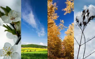 allier-distribution-de-flyers-et-changements-saisonniers