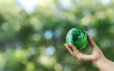 distribution-de-flyers-et-ecologie-un-duo-possible
