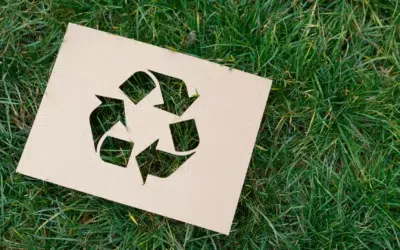 distribution-de-flyers-ecologique-comment-reduire-l-impact-reel