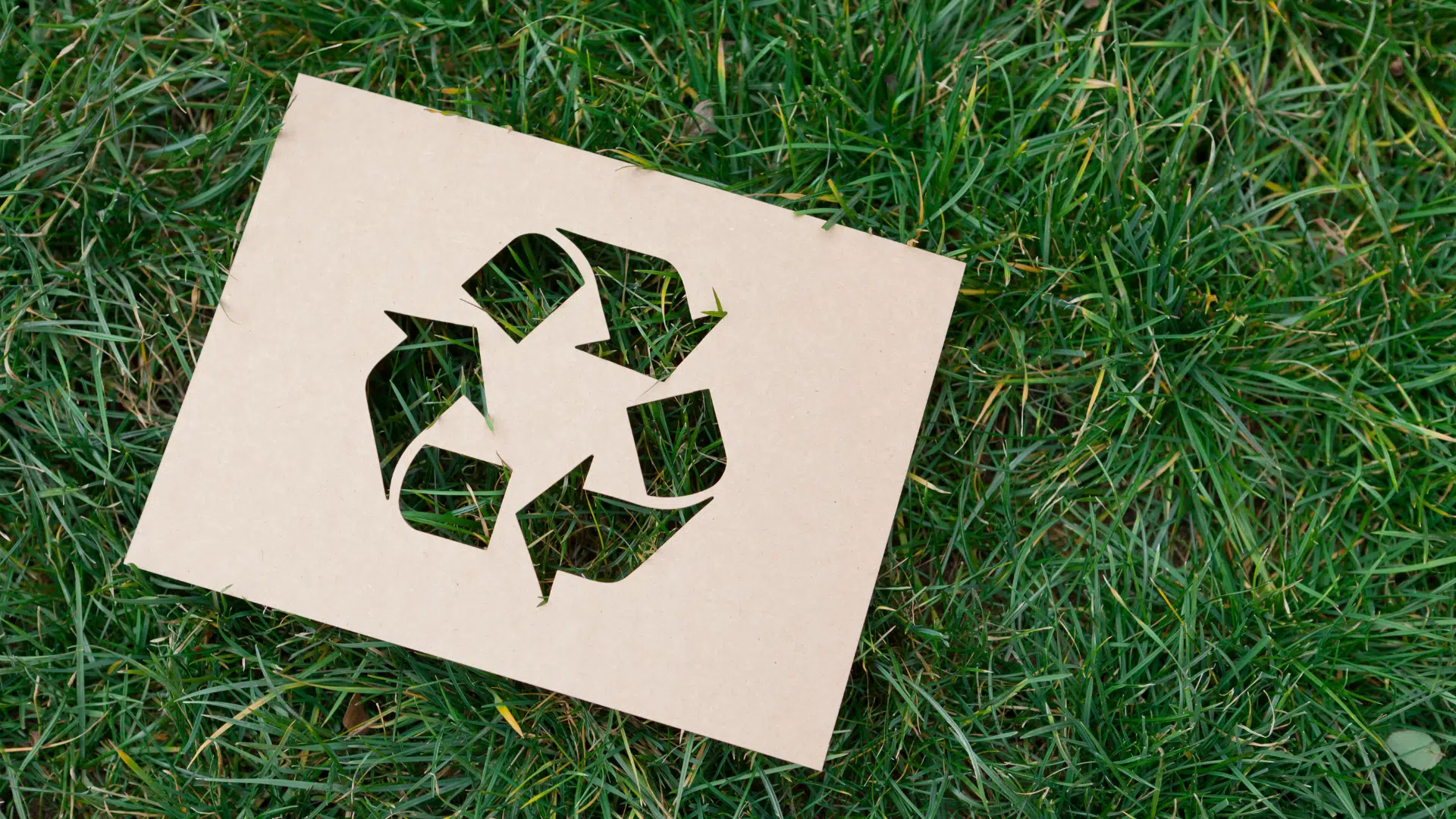 distribution-de-flyers-ecologique-comment-reduire-l-impact-reel